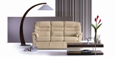 G Plan Malvern Leather 2 Seater Sofa